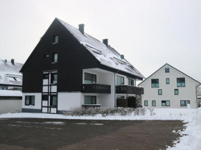 Inviting apartment in Winterberg near the ski area
